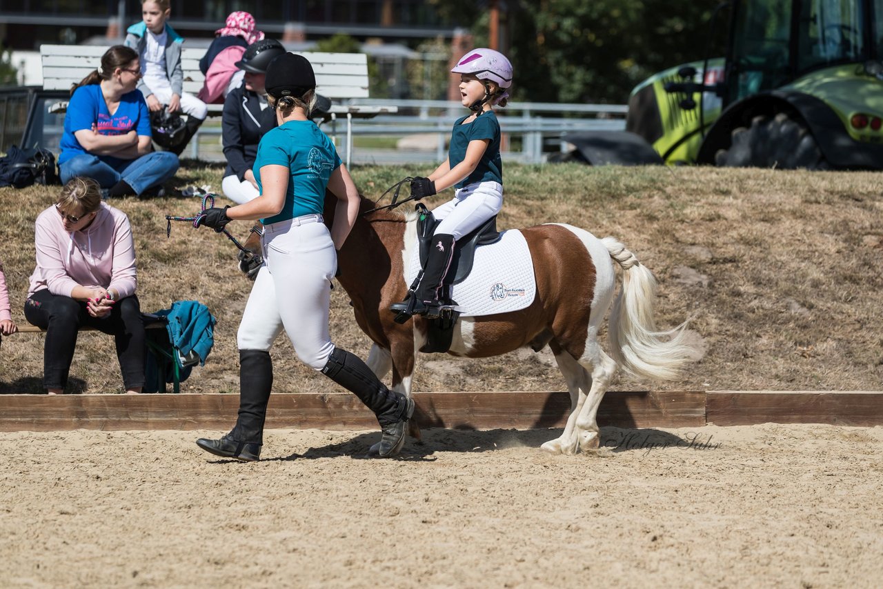 Bild 40 - Pony Akademie Turnier